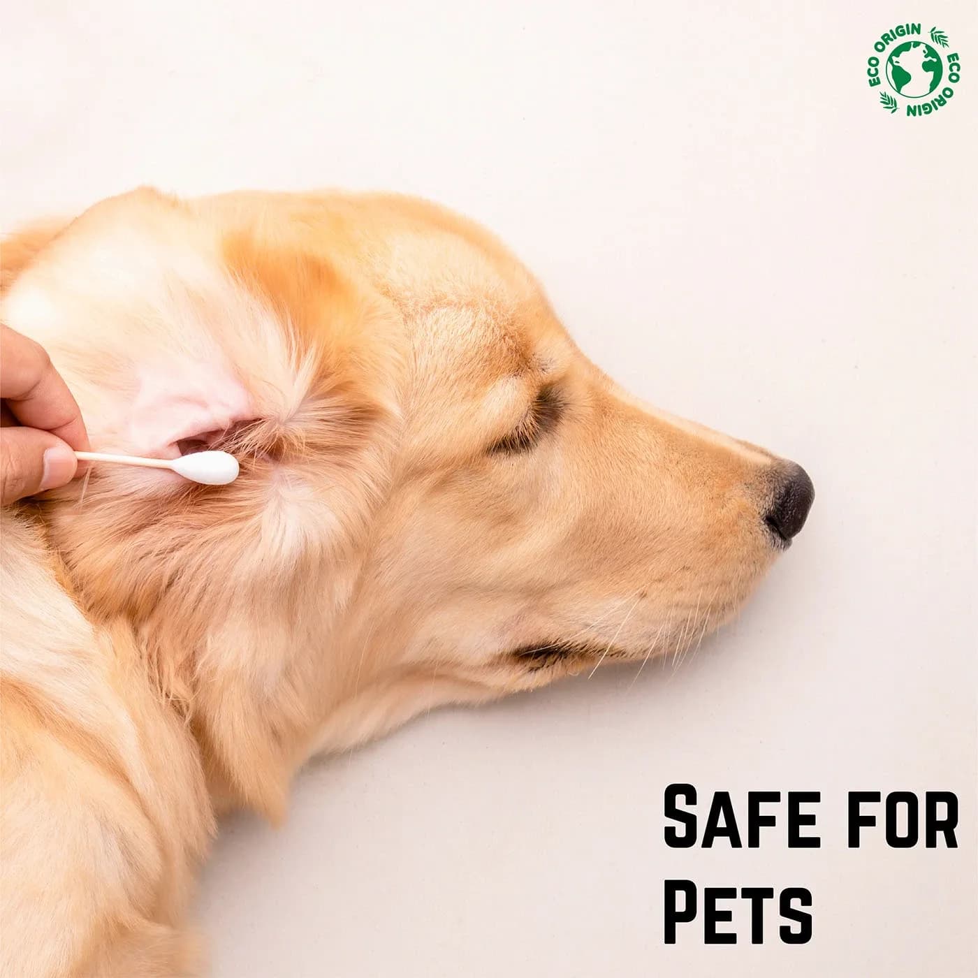 Cotton bud cleaning a dog's ear, Safe For Pets