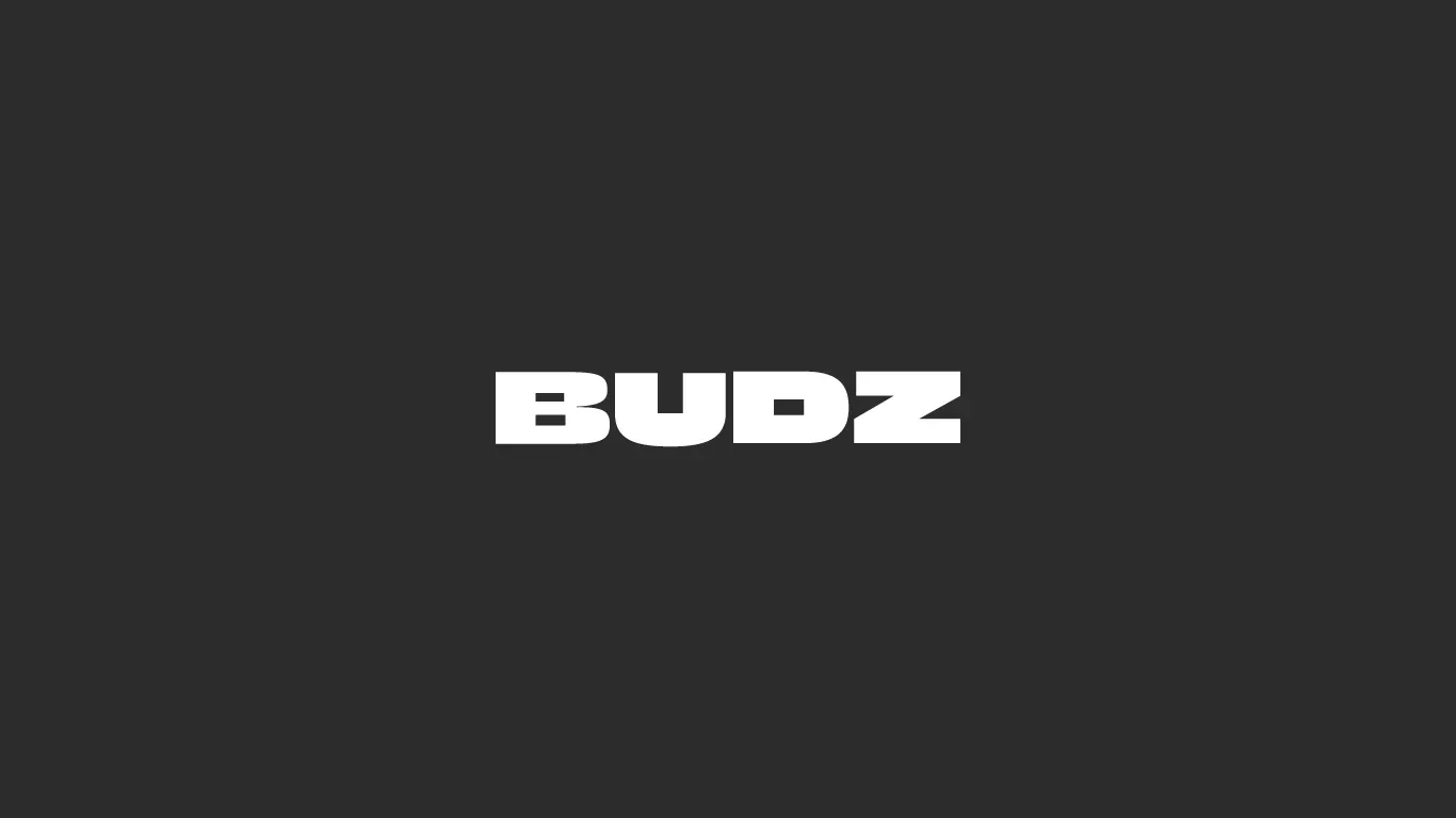 White Budz wordmark on a charcoal background