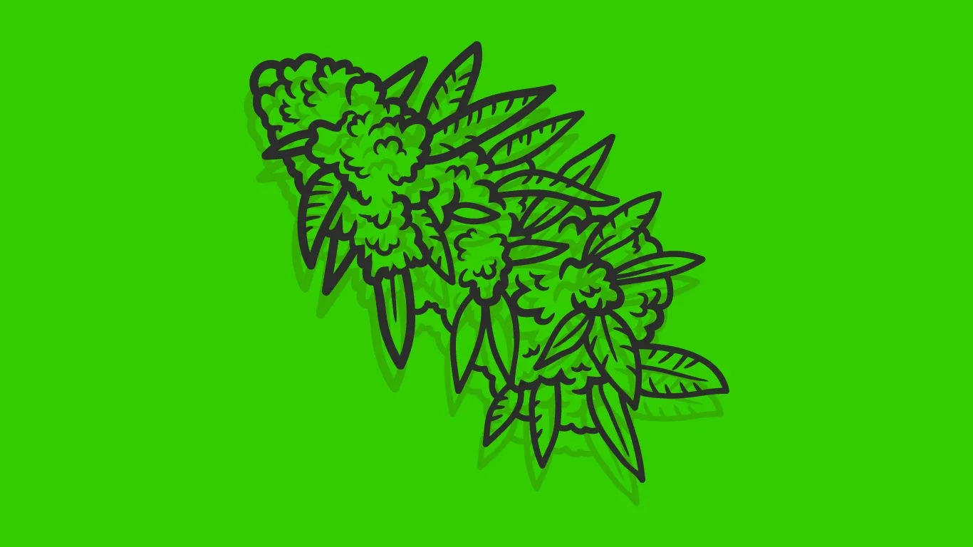 Line illustration of a cannabis bud on a bright green background