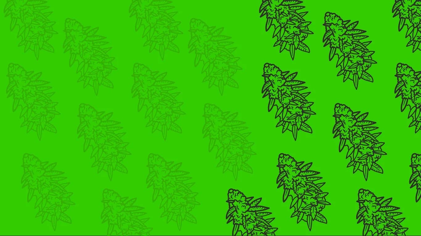 Repeating bud illustration pattern in tonal and dark line versions