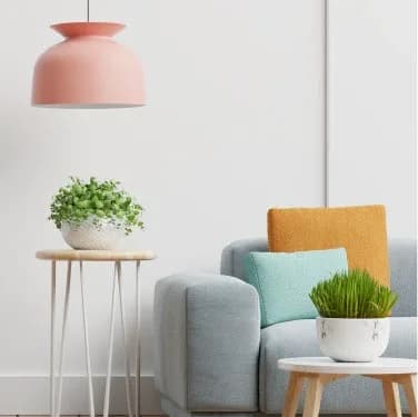 Clean living room with gray sofa and plants