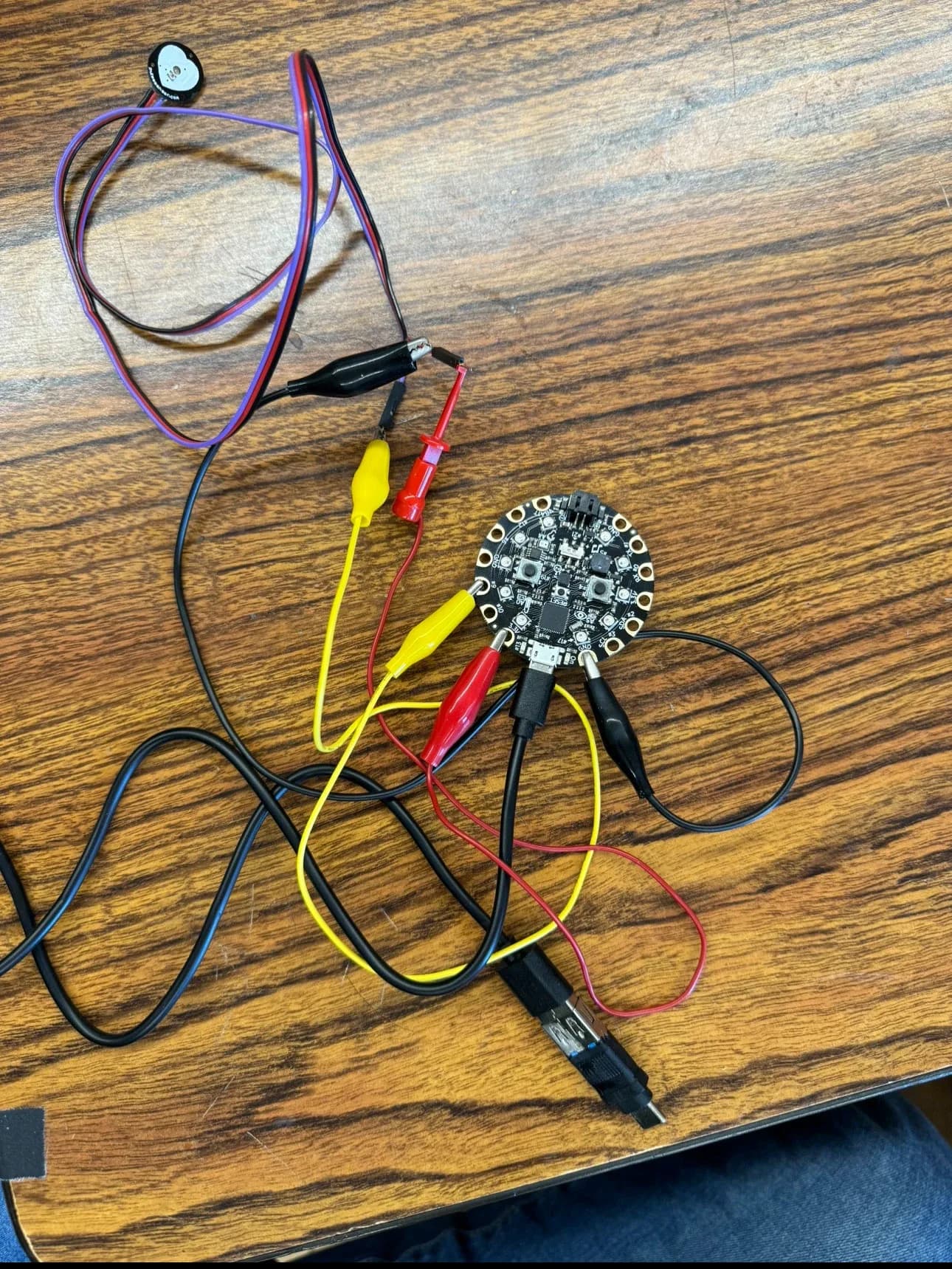 Circuit Playground board connected with alligator clip leads