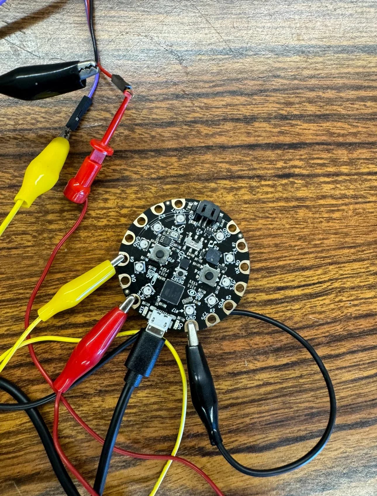 Close-up of a Circuit Playground board with alligator clips