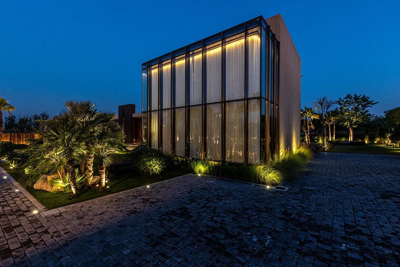 Glowing glass cube among palms at night